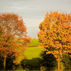 Herbstspaziergang_quadrat.jpg